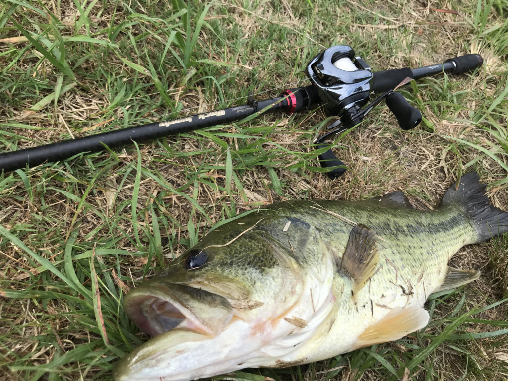 インプレ メガバス ビックベイトロッドはブラックジャングルf10 76xbj一択 Bassfishing Paradise