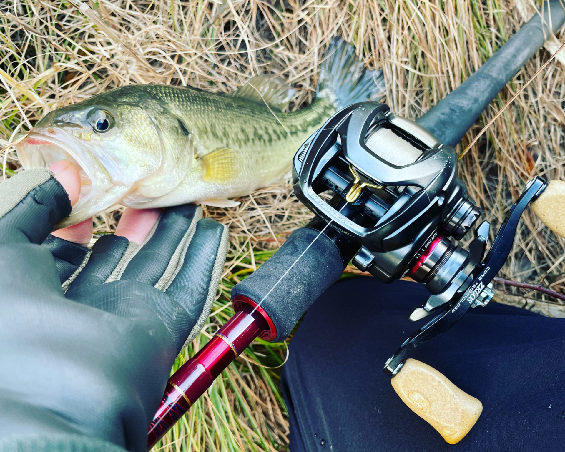 雑学 冬のバス釣りでバスを釣るには パターンを考察 Bassfishing Paradise